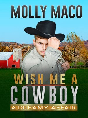 cover image of A Dreamy Affair--Western Romance